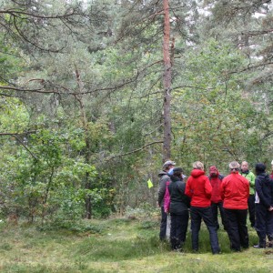 Lärarfortb