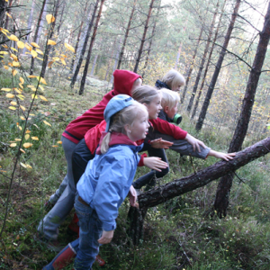 barn fäller träd
