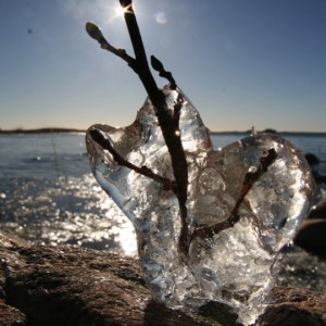 Bild09