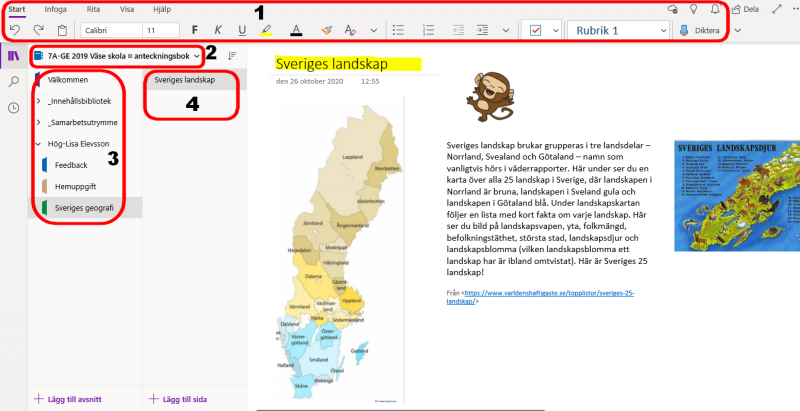 Olika delar av OneNote. Menyrad, lista över anteckningsböcker, avsnitt och sidor.