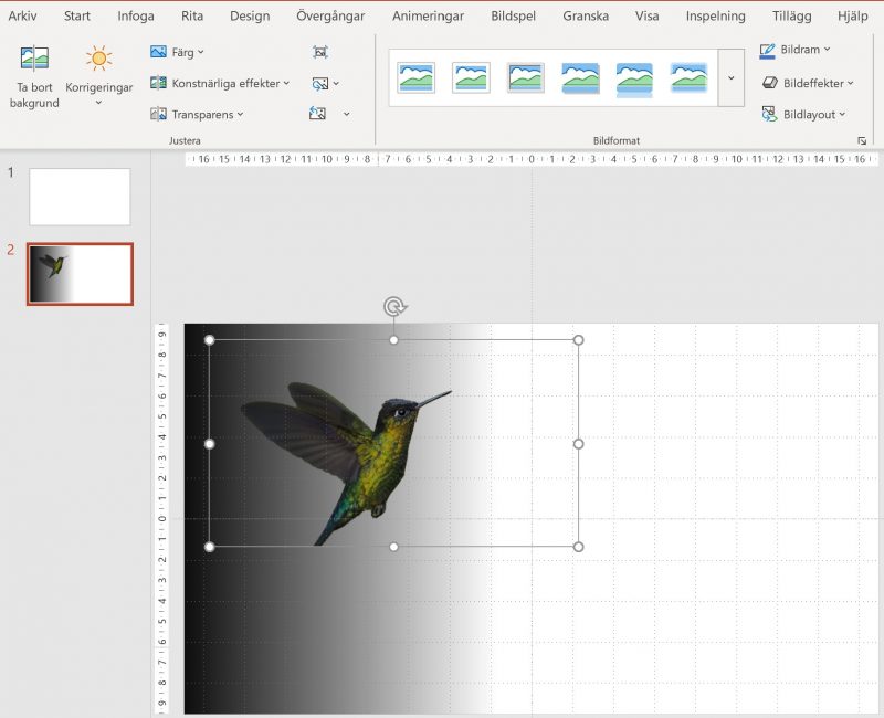 Klistra in i Powerpoint