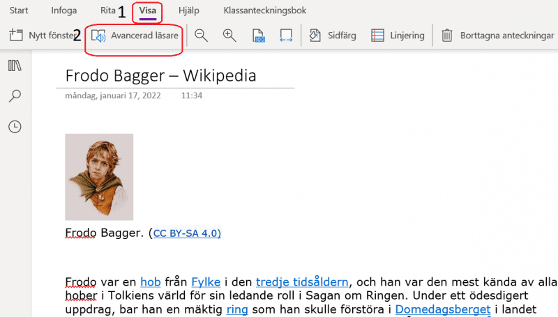 Avancerad läsare i visamenyn på iPad.