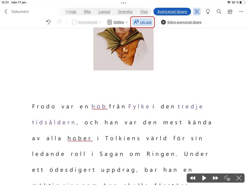 Textuppläsning i avancerad läsare.