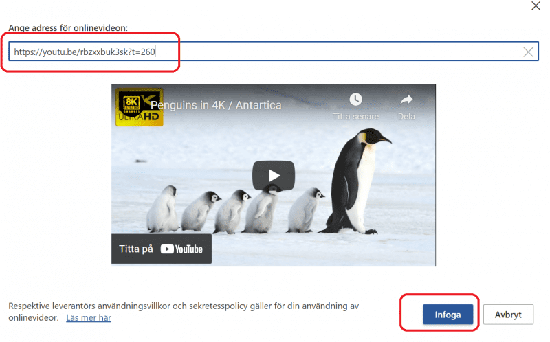 Infoga youtubelänk.