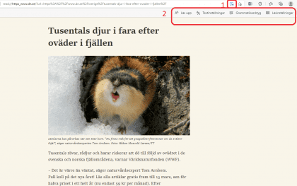 Bilden visar läsvyverktyget i Edge.