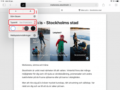 Inställningar i läsvyverktyget i Safari.