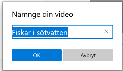Namnge video