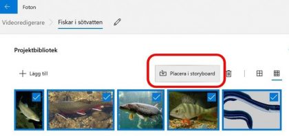 Placera på board