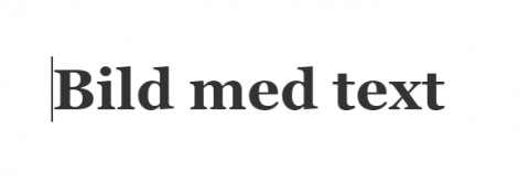 Bilden visar en bild där det står "Bild med text"
