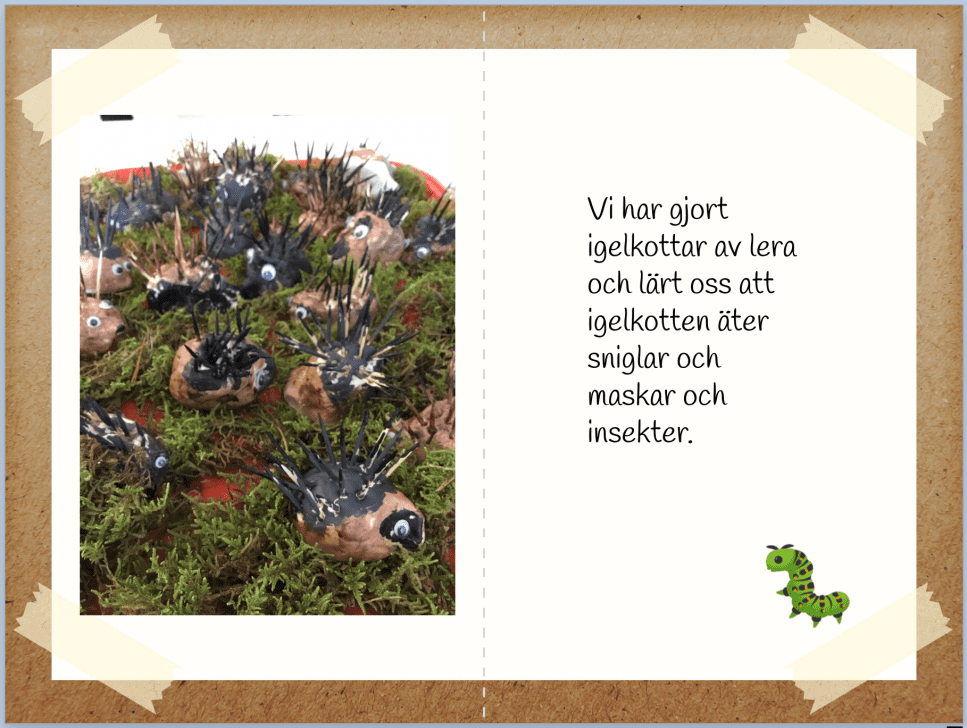 Exempel på bok med bild på igelkottar av lera och en kort faktatext om igelkottar