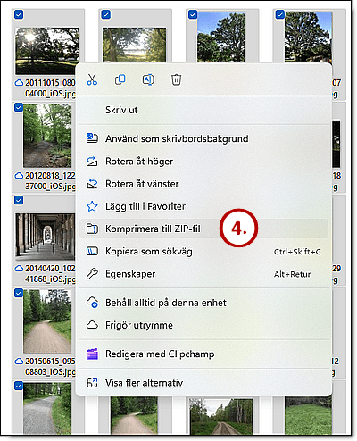 Meny för att komprimera till zip-fil.